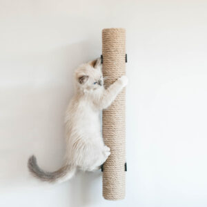 drapak-scienny-rura-kw5