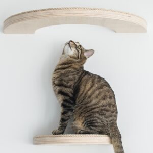 stylowa-polka-dla-kota-drapak-scienny-kw10 stylowa-polka-dla-kota-drapak-scienny-kw10