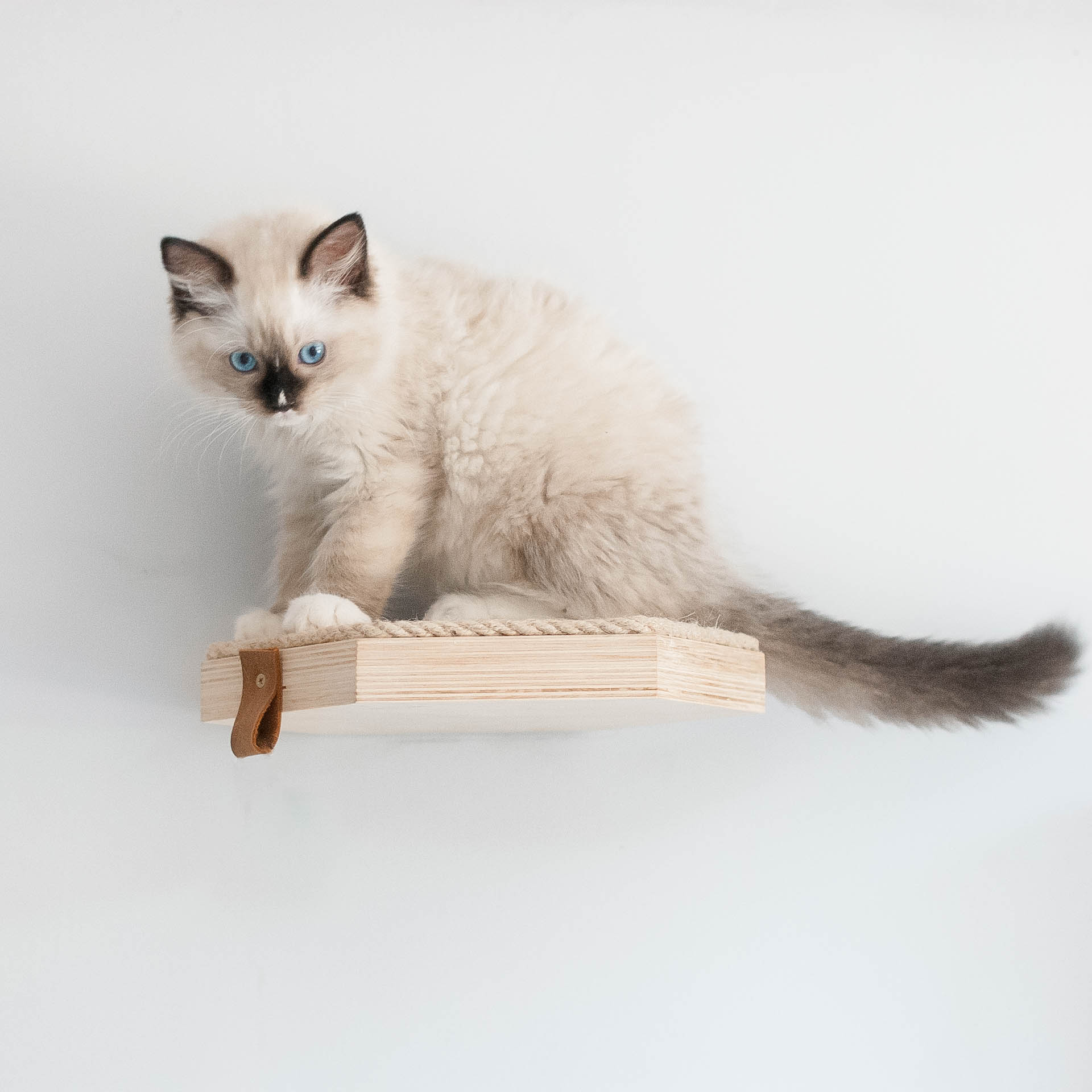 szesciokatna-polka-dla-kota-z-sizalem-kw3