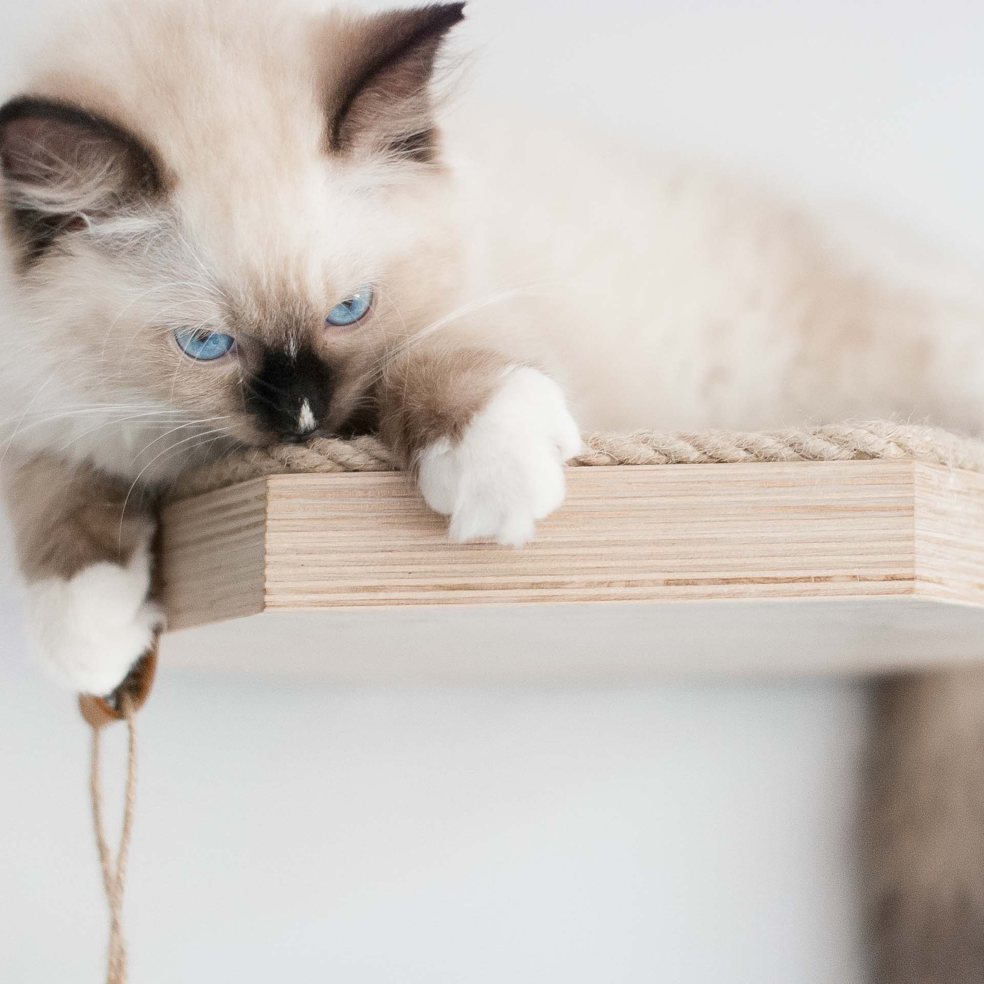 szesciokatna-polka-dla-kota-z-sizalem-kw5