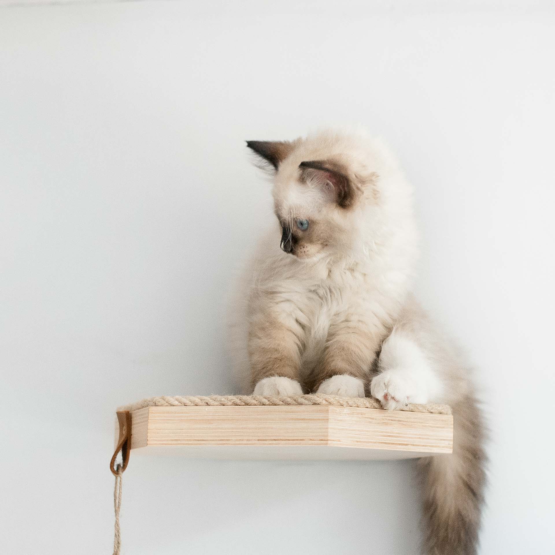 szesciokatna-polka-dla-kota-z-sizalem-kw6