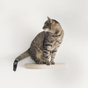 mala-polka-dla-kota-4