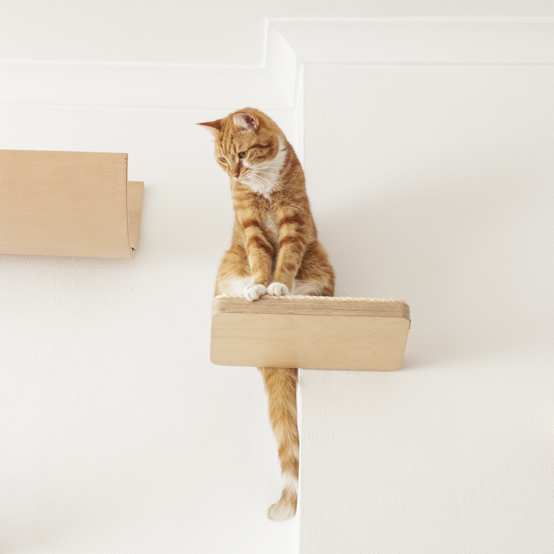 prostokatna-polka-dla-kota-24